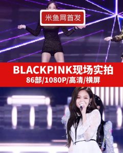 BLACKPINK现场实拍高清视频