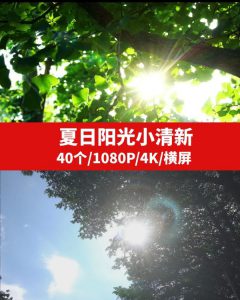 夏日阳光小清新视频素材-