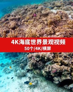 4K海底世界景观视频