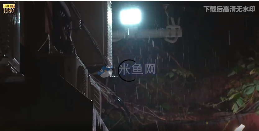 街道雨天路灯视频素材