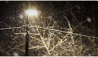 夜晚大雪纷飞路灯视频素材