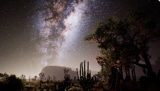 沙漠仙人掌星空意境视频素材