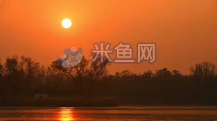 夕阳西下缓缓落入林中视频素材