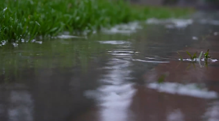 下雨池塘雨滴视频素材