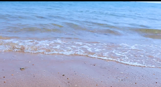 海水浪花沙滩狮子混剪短视频素材