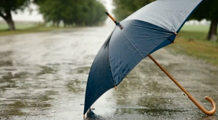 雨伞落在街道下雨视频素材