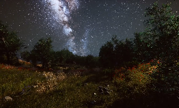 深夜星空树木意境视频素材