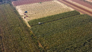 收割机收割成熟天地机械化生产系列视频素材