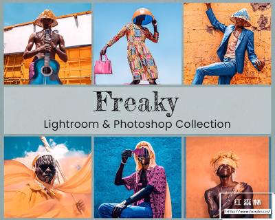 【LR预设】10款明亮时尚人像流行色彩后期调色Lightroom预设 Freaky Lightroom Presets Photoshop