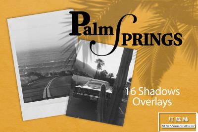 【图片素材】16张高清海滩棕榈树阴影倒影叠加合成设计素材 Palm Spring|Shadow Overlays