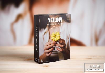 【LR预设】8款自然温暖黄色调人像风景调色Lightroom预设手机滤镜 Nature Yellow Lightroom Presets