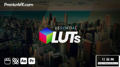 【AE/PR/FCPX插件】75组基本常用时尚电影Vlog视频调色滤镜 PremiumVFX – Essential LUTs