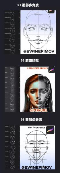 【板绘笔刷】iPad绘画Procreate最强人像辅助线神器+教程+素材