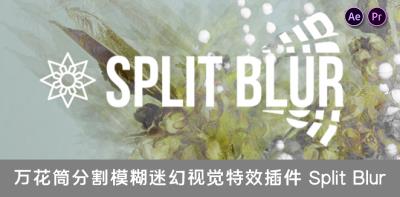 【AE/PR插件】万花筒分割模糊迷幻视觉特效 Split Blur v1.3.0 汉化中文版 支持Win/Mac