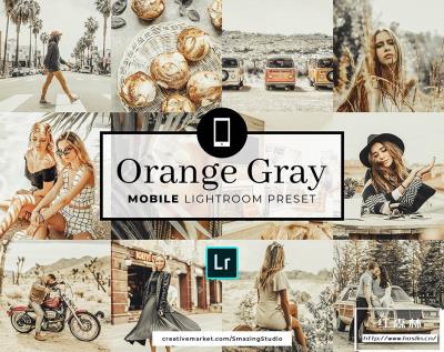 【PS/LR预设】1款ins风橙金中性灰高级色调PS_ACR/LR预设 Orange Gray Lightroom Preset