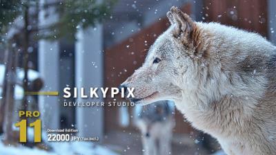 【软件】专业RAW照片处理编辑软件 SILKYPIX Developer Studio Pro 11.1.8.0 Win/Mac中文版