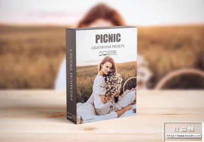 【LR预设】10个情侣户外人像风光胶片暖色野餐摄影Lightroom预设 Picnic Outdoor Lightroom Presets