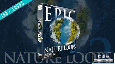 【音效】103个大自然森林户外虫鸣鸟叫环境渲染无损音效 Epic Nature Loops 2