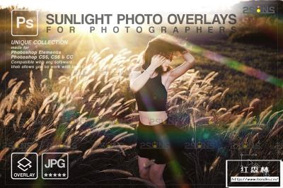 【图片素材】16张金色日落镜头光晕散景光斑照片叠加合成素材 Sunlight Photoshop overlay