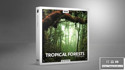 【音效】153组热带雨林虫鸣鸟叫大自然森林环绕音无损音效 Boom Library – Tropical Forests