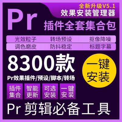 【Pr插件合集】2020最全Pr插件套装合集，支持Win系统一键安装