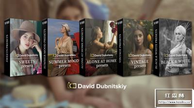 【LR预设】100款摄影师David Dubnitskiy 恬静复古唯美心情色彩故事私房摄影Lightroom预设5套合集 David Dubnitskiy – Color Stories Presets Collection