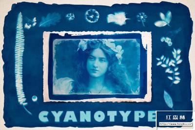 【PSD模板】照片制作古典摄影蓝晒印相效果PS模板 CYANOTYPE Digital Photoshop Effect