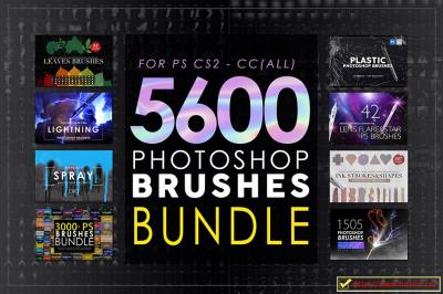 【PS笔刷】5673个PS笔刷超级捆绑集合包8合1 Photoshop Brushes Mega Bundle（20GB）