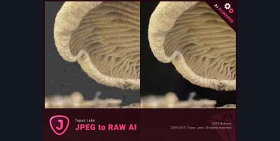 【软件】AI人工智能图像转换软件 Topaz JPEG To RAW AI v2.2.1 汉化中文版 支持Win/Mac