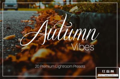 【LR预设】20款深秋色彩风光摄影秋天暖色调Lightroom预设 Autumn Vibes – Lightroom Presets