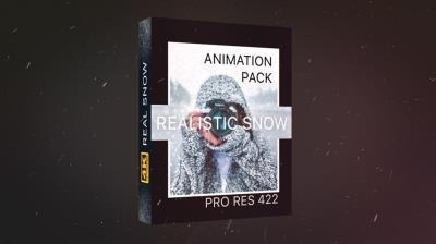 【4K视频素材】21个冬日下雪雪花粒子飞舞飘散动画 Realistic Snow Effects Pack