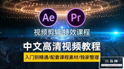 【视频教程】30天学会AE/PR，从入门到精通剪辑与特效的大神之路