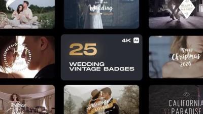 【AE模板】25个复古浪漫爱情婚礼文字标题动画 Wedding Vintage Badges