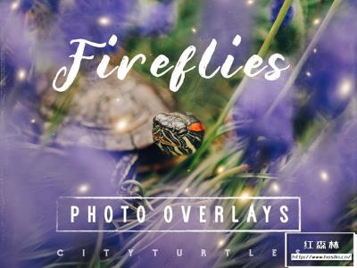 【图片素材】30张梦幻童话世界萤火虫魔法照片合成图片素材 30 Dreamy Firefly Photo Overlays