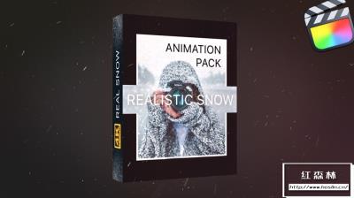 【FCPX插件】21个冬天下雪飘雪特效叠加动画FCPX中文插件 Realistic Snow Effects