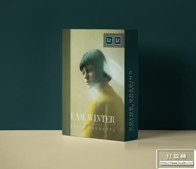 【LR预设】摄影师 Paolo Barretta 高端数字美学人像调色颜色分级LR预设 IAMWINTER Color Grading Presets