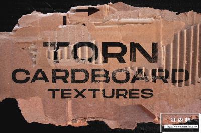 【图片素材】100+边缘撕裂破损的纸板纹理设计创作合成素材 Torn cardboard textures