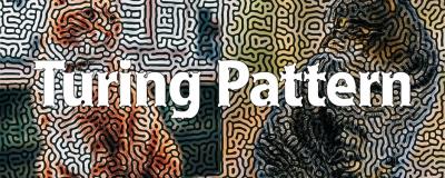 【AE插件】创意抽象图灵纹理效果生成工具 Turing Pattern v1.0 Win汉化中文版