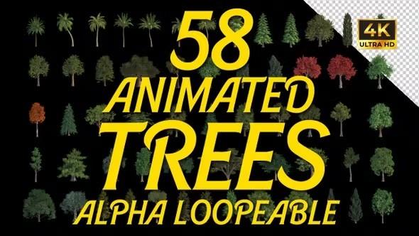 【AE模板】58个植物树木循环Alpha视频动画 Animated Trees Alpha Loop Pack 4K